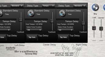 AfterShock Digital Delay