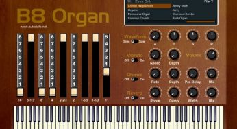 B8 Organ