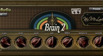 Brain 2