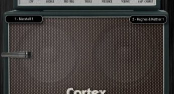 Cortex
