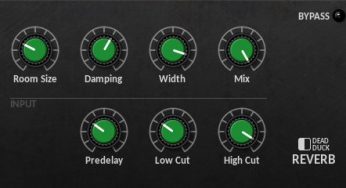 DD Reverb