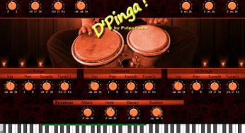 DPinga Bongo