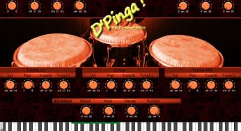 DPinga Congas
