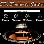 DSK Dynamic Guitars 3