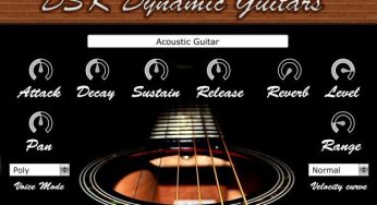 Dynamic Guitars