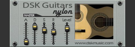 DSK Guitars Nylon 2