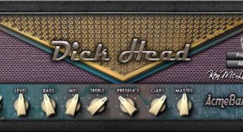 Dick Head