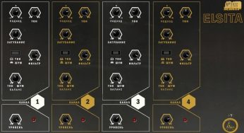 Digital Systemic Emulations – Elsita