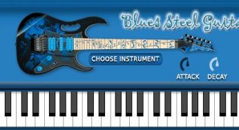 FS Blues Steel Guitar