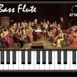 Iowa Bass Flute 3