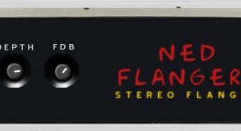 Ned Flangers