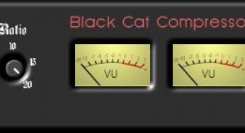 Black Cat