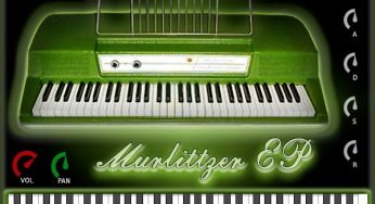Merlittzer