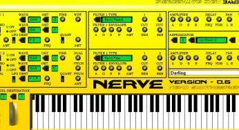 Nerve