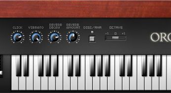 Organaut v1.0