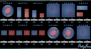 PolyFace v1.0