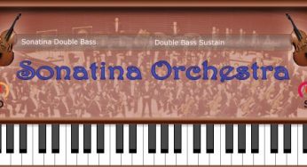 Sonatina Double Bass