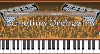Sonatina Xylophone