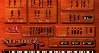 StringZ2
