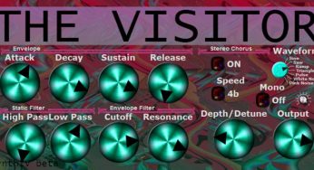 The Visitor