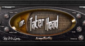 Mr Tater Head