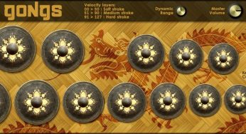 Thai Gongs