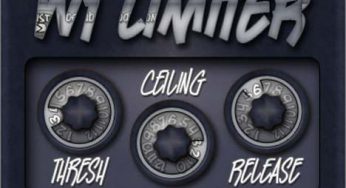 W1Limiter
