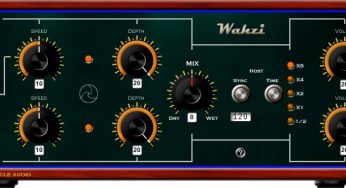 Wahzi