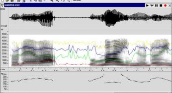 Wavesurfer v.1.8.5