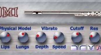DmiFlute v1.0