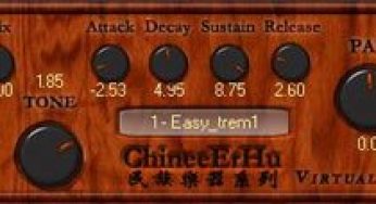 Mini Erhu