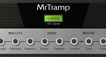 Mr Tramp