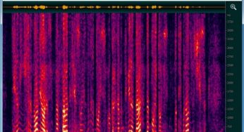 ocenaudio v3.0.6