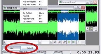 WavePad v.3.02