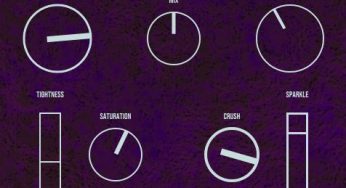 Owl O Lantern – Yoin Reverberator