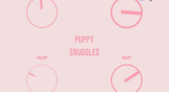 Owl O Lantern – PuppySnuggles