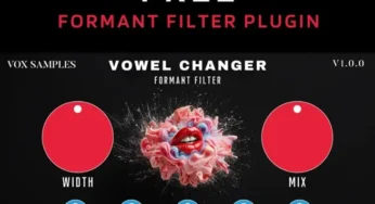Vowel Changer (Formant Filter) v1.0.0