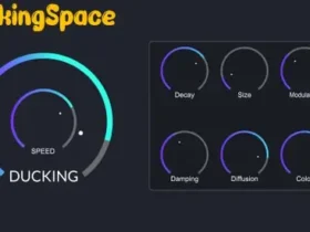 DuckingSpace