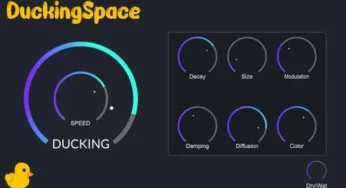 DuckingSpace