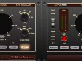 YS Filters Easy Dual
