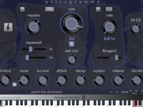 Psicogramma Key vst