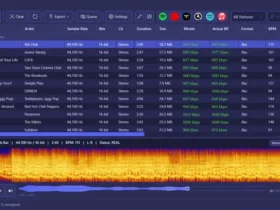AudioAuditor