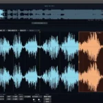 Polarity Recorder
