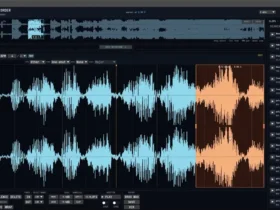 Polarity Recorder